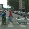 Cygańskie sanki...