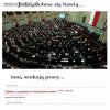 Polska to zielona wyspa, na której...