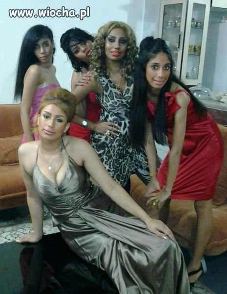 Wybory Miss plastiku