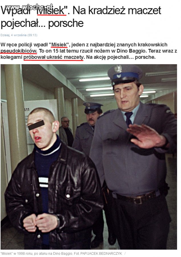 Misiek w akcji