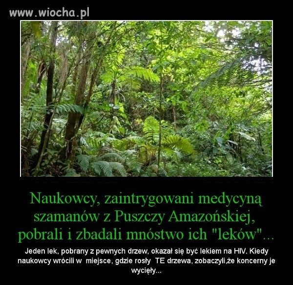 Coraz bardziej zaczynam