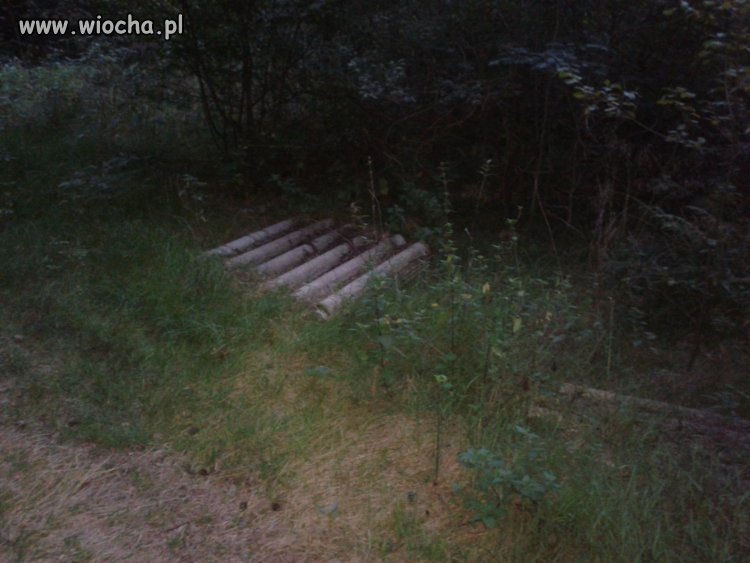 Gmina stężyca las sikorska huta,utylizacja azbestu