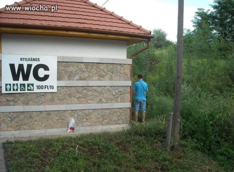 Nie mógł znaleźć toalety...