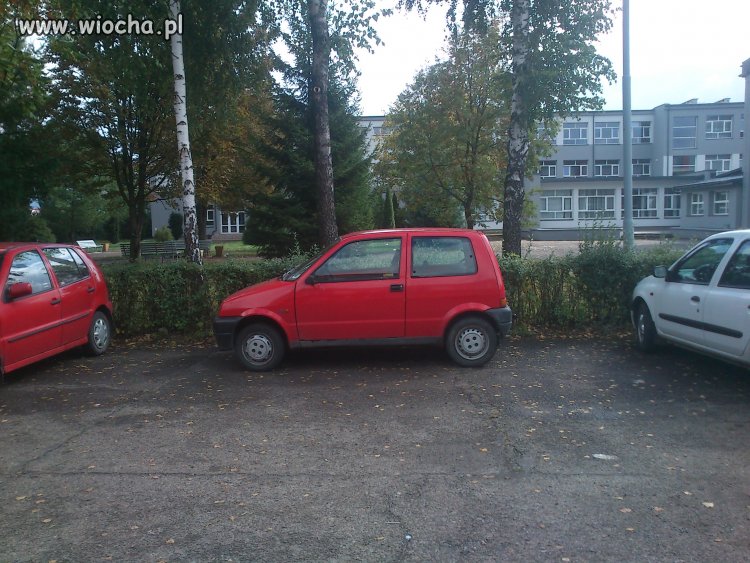Mistrz parkowania 