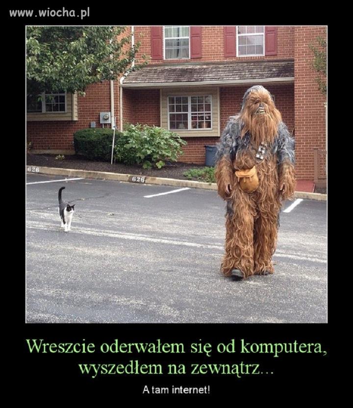 Wreszcie oderwałem się od komputera...