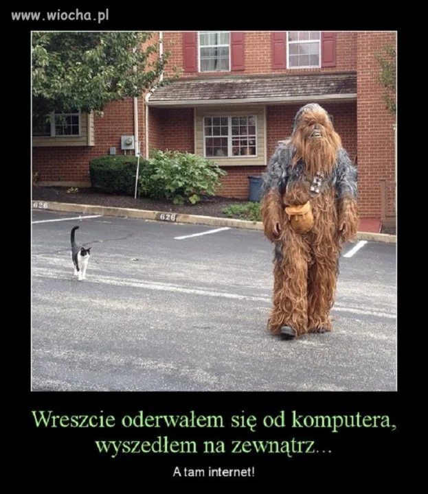 Wreszcie oderwałem się od komputera...