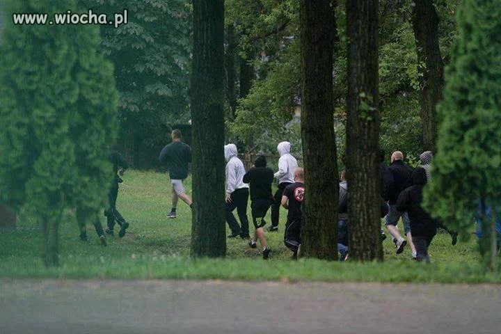 Dochodzą do nas informacje, że Polacy zostali wybrani 