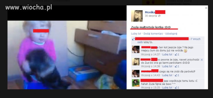 Jest się czym chwalić?
