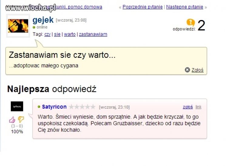 Czy warto adoptować małego cygana?