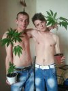 Ganja mafia 