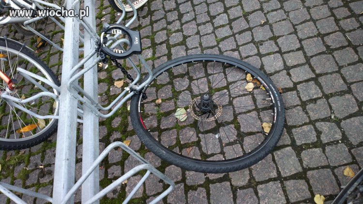 Zostawiłem go dosłownie na 15 minut !