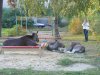 Tymczasem w piaskownicy...