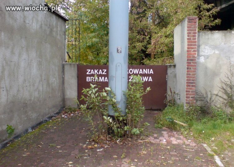 Ciekawe kto tak słup zaparkował