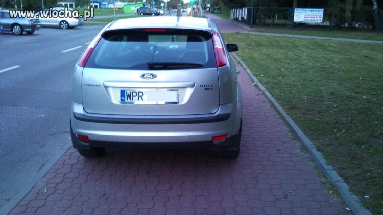 Mistrz parkowania