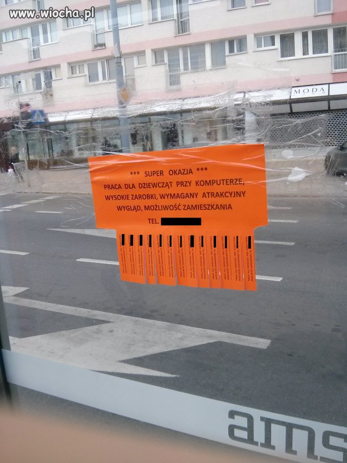 Uczciwa oferta pracy