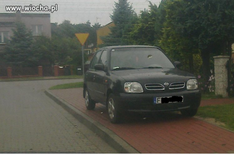 Mistrz Parkowania