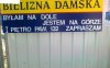 Dama na głodzie