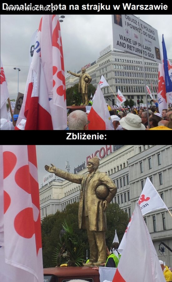 Złoty cielec