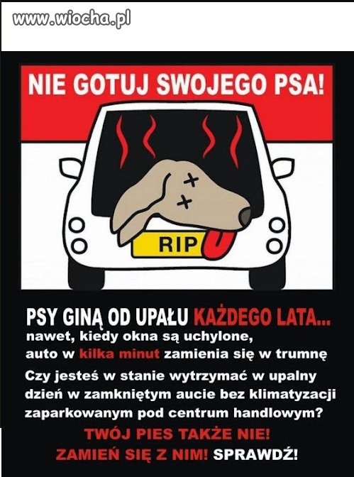Hot Dog po Polsku...nie bądź Wieśniakiem!!!