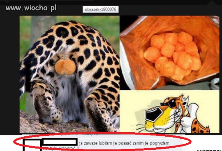 Już wiesz skąd się biorą cheetosy...