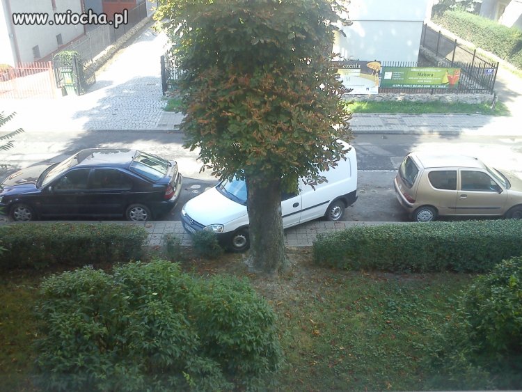 Takie rzeczy tylko w Rzeszowie 