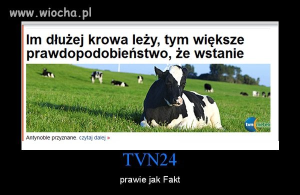 Tvn,