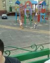 Przygotowania do zimy
