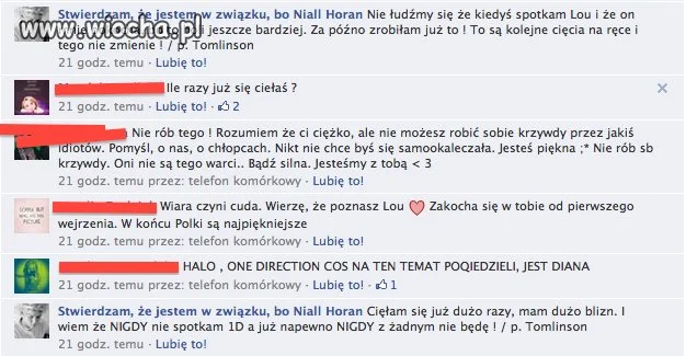 Fanka 1D wiocha