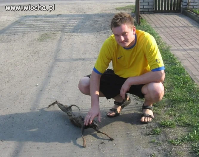 Brak słów