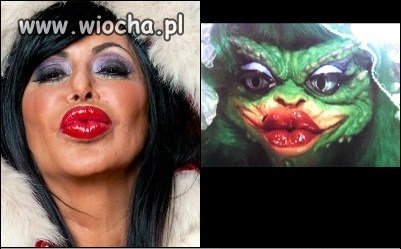 Znajdź 3 szczegóły...