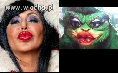 Znajdź 3 szczegóły...