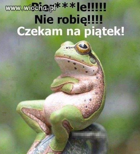 Piątek.