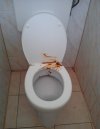 Jak trzeba mieć nasrane