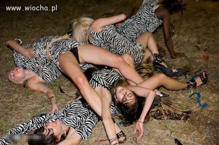Takie tam na Safari