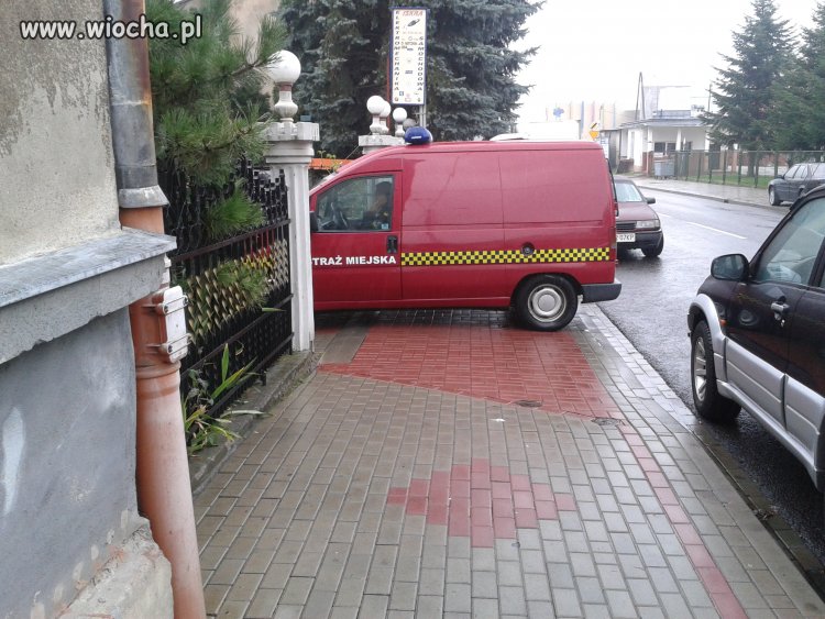 Tak parkuje Straż Miejska w Przemyślu