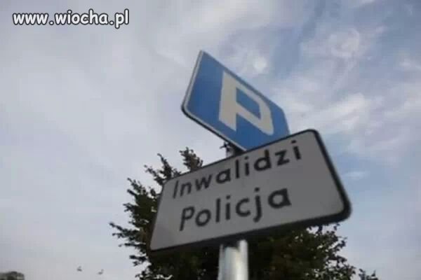 Takie rzeczy tylko w...