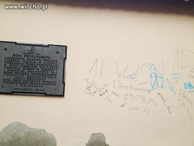 Złot fanek One Direction...a właściwie trzody chlewnej.