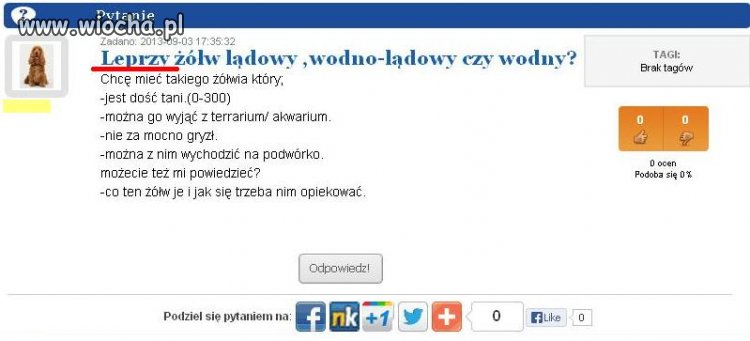 Wszystko ok, ale dlaczego "Leprzy" ?