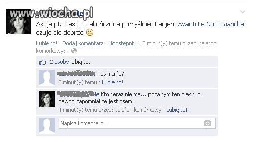 Pies ma Facebooka