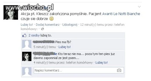 Pies ma Facebooka