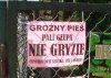 Groźny pies