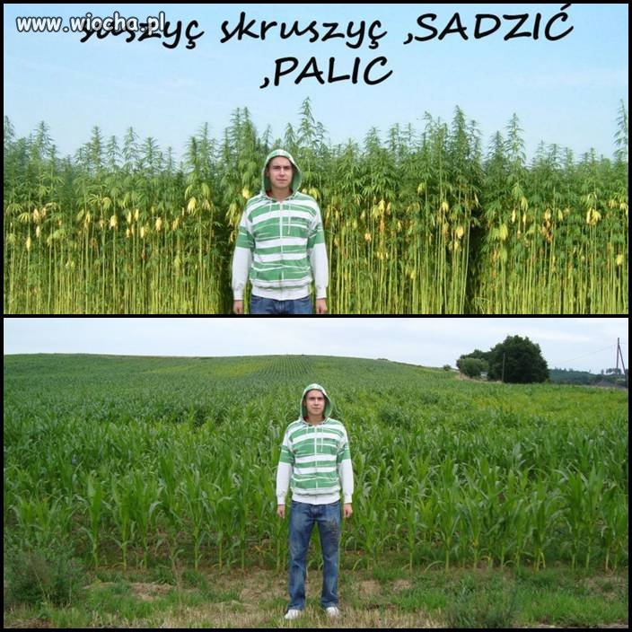 Mistrz Photoshopa!