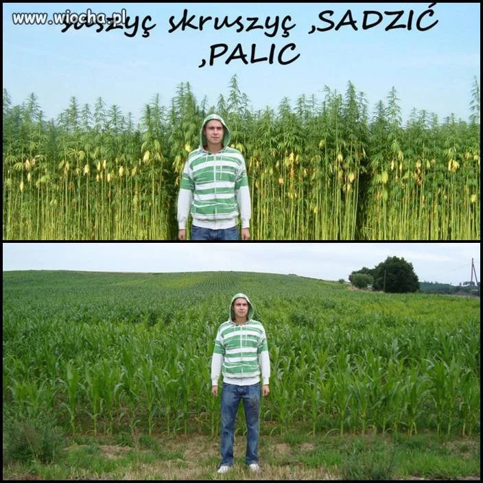 Mistrz Photoshopa!