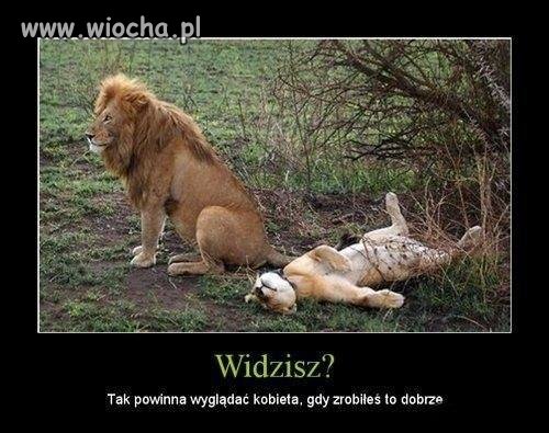 A ty ile razy tak zrobiłeś?