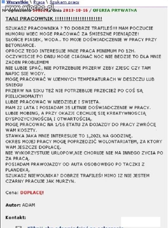 Tani Pracownik