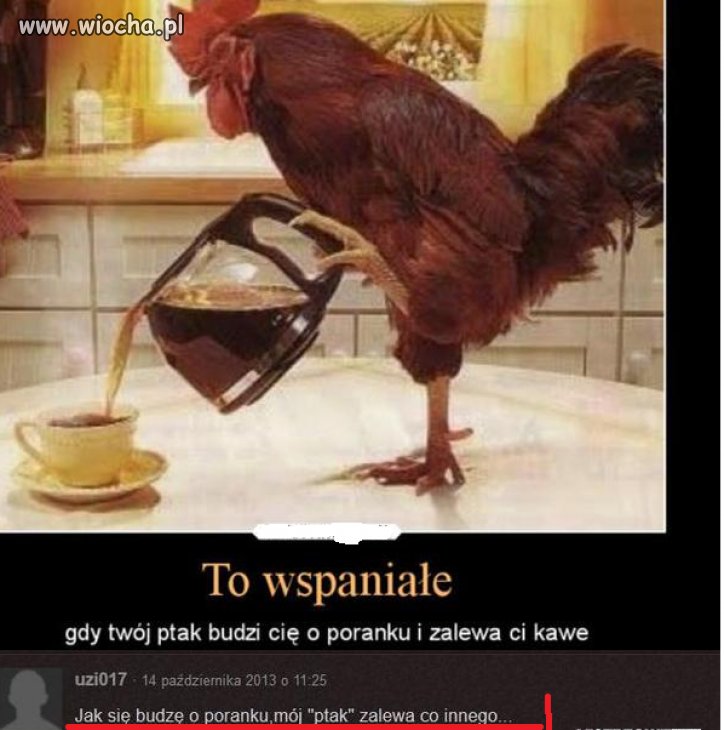 To wspaniałe gdy twój ptak się budzi...