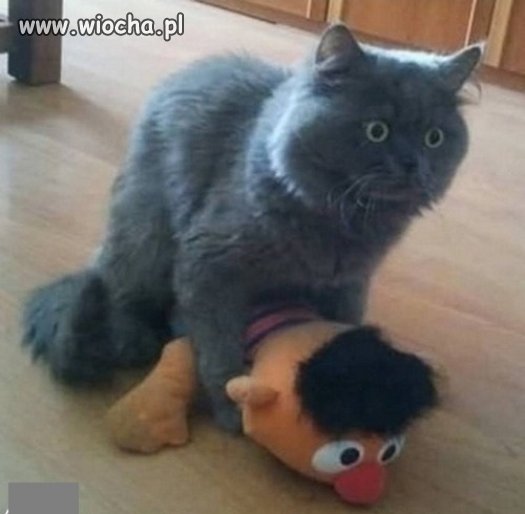Jak przyjdzie ochota...