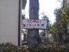 "Szanój" zieleń...
