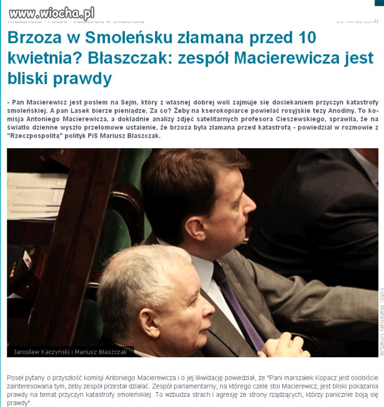 Brzozowy ekspert 