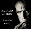 Za dużo zj*bów...